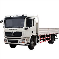 4x2 Light Cargo Truck